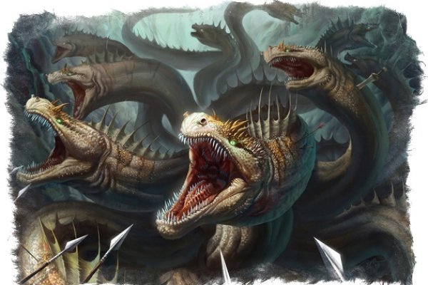 Kraken forum